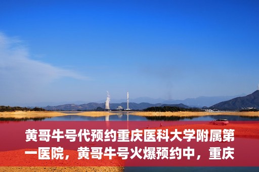 黄哥牛号代预约重庆医科大学附属第一医院，黄哥牛号火爆预约中，重庆医科大学附属第一医院开启预约新纪元