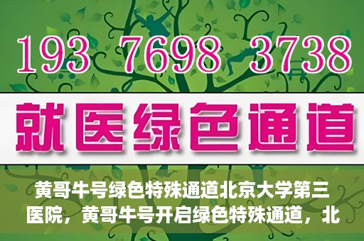 黄哥牛号绿色特殊通道北京大学第三医院，黄哥牛号开启绿色特殊通道，北京大学第三医院助力健康新篇章