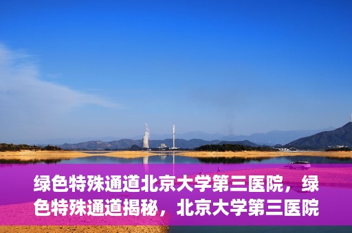 绿色特殊通道北京大学第三医院，绿色特殊通道揭秘，北京大学第三医院的探索与实践