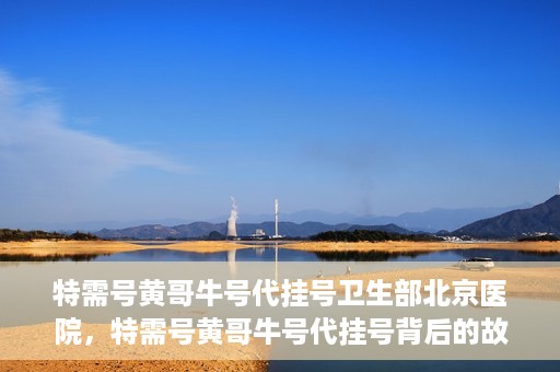 特需号黄哥牛号代挂号卫生部北京医院，特需号黄哥牛号代挂号背后的故事，北京医院卫生部深度解读