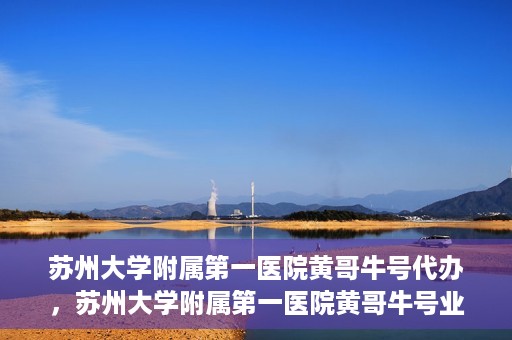 苏州大学附属第一医院黄哥牛号代办，苏州大学附属第一医院黄哥牛号业务代办攻略