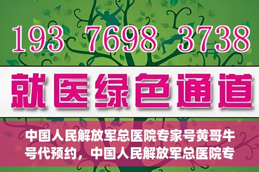 中国人民解放军总医院专家号黄哥牛号代预约，中国人民解放军总医院专家号预约服务，黄哥牛号预约系统解析