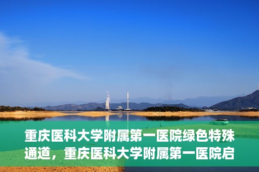 重庆医科大学附属第一医院绿色特殊通道，重庆医科大学附属第一医院启动绿色特殊通道，高效医疗服务的探索与实践