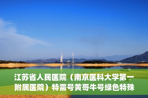 江苏省人民医院（南京医科大学第一附属医院）特需号黄哥牛号绿色特殊通道，江苏省人民医院特需号黄哥牛号绿色就医通道揭秘