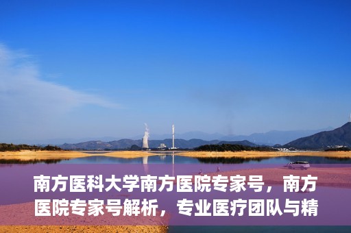 南方医科大学南方医院专家号，南方医院专家号解析，专业医疗团队与精准诊疗服务