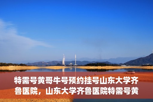 特需号黄哥牛号预约挂号山东大学齐鲁医院，山东大学齐鲁医院特需号黄哥牛号预约挂号指南