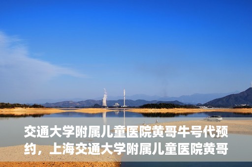 交通大学附属儿童医院黄哥牛号代预约，上海交通大学附属儿童医院黄哥牛号预约指南，轻松预约，关爱儿童健康之路