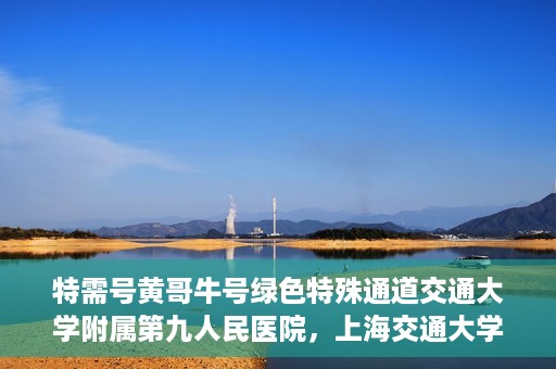 特需号黄哥牛号绿色特殊通道交通大学附属第九人民医院，上海交通大学附属第九人民医院特需号绿色特殊通道——黄哥牛号服务体验之旅