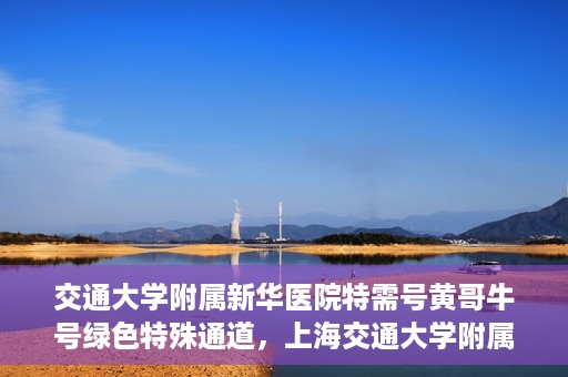 交通大学附属新华医院特需号黄哥牛号绿色特殊通道，上海交通大学附属新华医院特需号黄哥牛号，绿色就医特殊通道解析