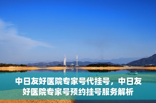 中日友好医院专家号代挂号，中日友好医院专家号预约挂号服务解析