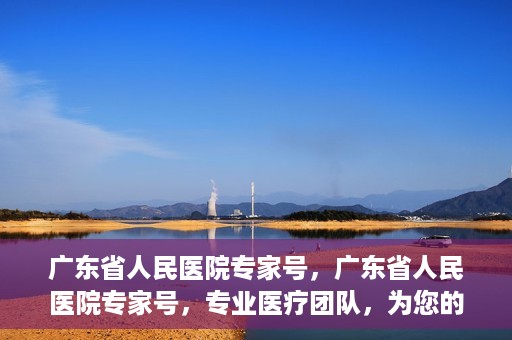 广东省人民医院专家号，广东省人民医院专家号，专业医疗团队，为您的健康保驾护航