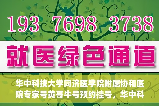 华中科技大学同济医学院附属协和医院专家号黄哥牛号预约挂号，华中科技大学同济医学院附属协和医院专家号黄哥牛号预约挂号攻略