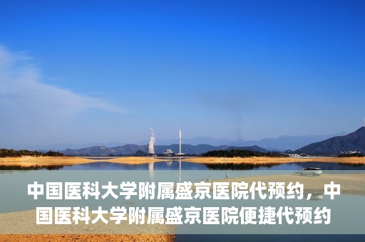 中国医科大学附属盛京医院代预约，中国医科大学附属盛京医院便捷代预约服务解析