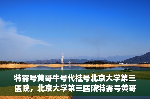 特需号黄哥牛号代挂号北京大学第三医院，北京大学第三医院特需号黄哥牛号代挂号服务解析