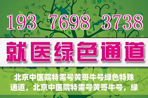 北京中医院特需号黄哥牛号绿色特殊通道，北京中医院特需号黄哥牛号，绿色就医通道揭秘