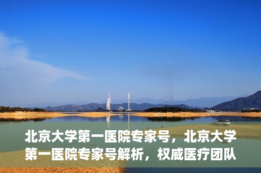 北京大学第一医院专家号，北京大学第一医院专家号解析，权威医疗团队的专业解读与诊疗之道