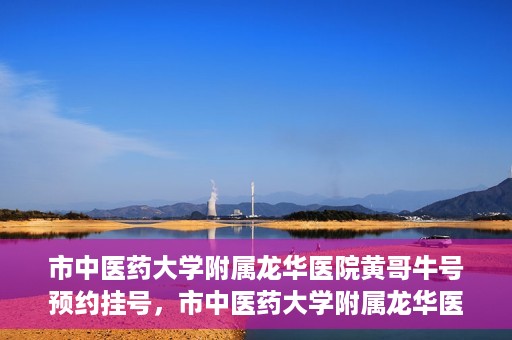 市中医药大学附属龙华医院黄哥牛号预约挂号，市中医药大学附属龙华医院黄哥牛号预约挂号攻略揭秘