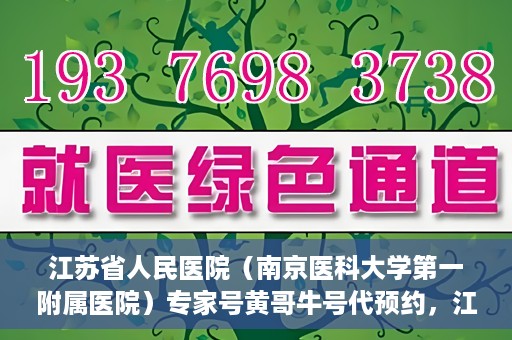 江苏省人民医院（南京医科大学第一附属医院）专家号黄哥牛号代预约，江苏省人民医院专家号预约服务解析，黄哥牛号代预约指南