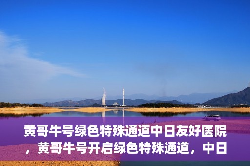 黄哥牛号绿色特殊通道中日友好医院，黄哥牛号开启绿色特殊通道，中日友好医院展现友好服务新篇章
