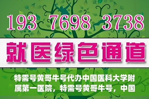 特需号黄哥牛号代办中国医科大学附属第一医院，特需号黄哥牛号，中国医科大学附属第一医院代办服务详解
