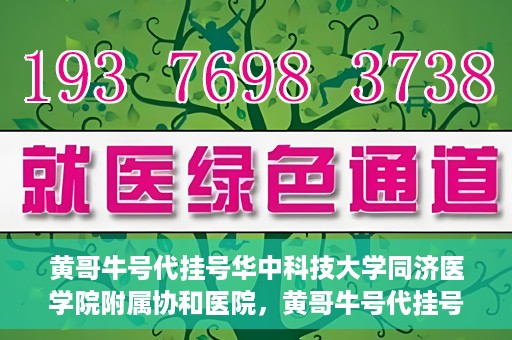 黄哥牛号代挂号华中科技大学同济医学院附属协和医院，黄哥牛号代挂号服务亮相华中科技大学同济医学院附属协和医院