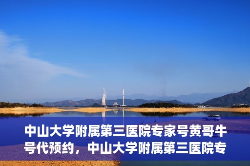 中山大学附属第三医院专家号黄哥牛号代预约，中山大学附属第三医院专家号预约服务解析，黄哥牛号代预约详解