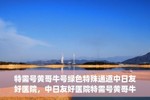 特需号黄哥牛号绿色特殊通道中日友好医院，中日友好医院特需号黄哥牛号绿色特殊通道揭秘