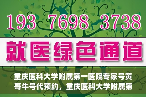 重庆医科大学附属第一医院专家号黄哥牛号代预约，重庆医科大学附属第一医院专家号预约服务解析，黄哥牛号预约攻略揭秘