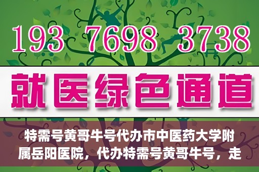 特需号黄哥牛号代办市中医药大学附属岳阳医院，代办特需号黄哥牛号，走进岳阳医院的中医药魅力