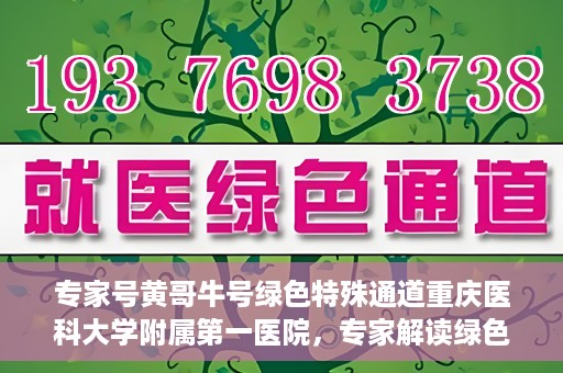 专家号黄哥牛号绿色特殊通道重庆医科大学附属第一医院，专家解读绿色特殊通道，重庆医科大学附属第一医院黄哥牛号实践探索
