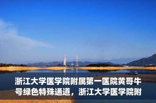 浙江大学医学院附属第一医院黄哥牛号绿色特殊通道，浙江大学医学院附属第一医院绿色特殊通道，黄哥牛号引领医疗创新之路