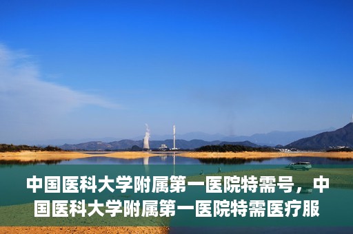 中国医科大学附属第一医院特需号，中国医科大学附属第一医院特需医疗服务介绍