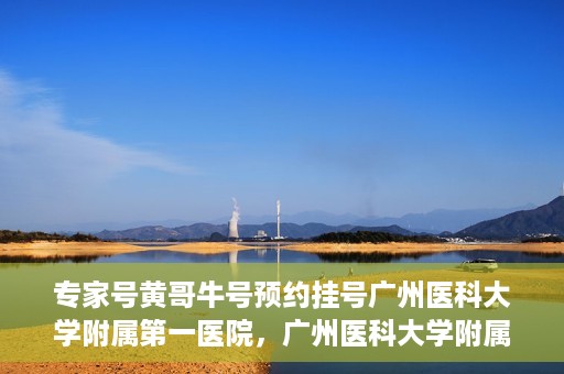 专家号黄哥牛号预约挂号广州医科大学附属第一医院，广州医科大学附属第一医院专家号黄哥牛号预约挂号攻略