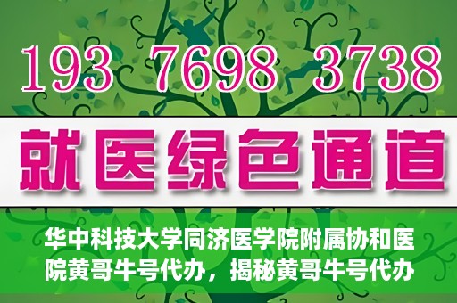 华中科技大学同济医学院附属协和医院黄哥牛号代办，揭秘黄哥牛号代办背后的故事，华中科技大学同济医学院附属协和医院就医新途径探索