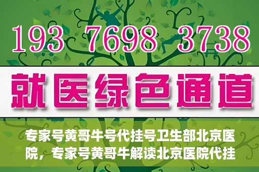 专家号黄哥牛号代挂号卫生部北京医院，专家号黄哥牛解读北京医院代挂号新政，卫生部权威解读与深度剖析