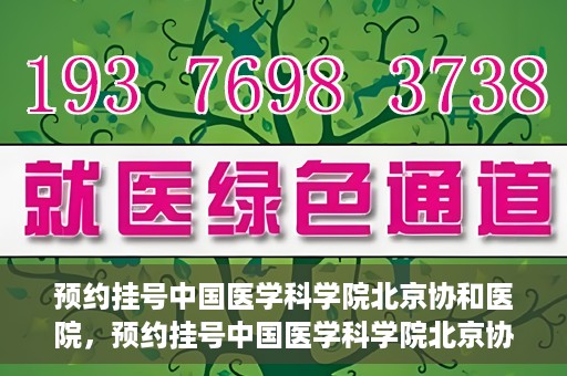 预约挂号中国医学科学院北京协和医院，预约挂号中国医学科学院北京协和医院，权威医疗资源的便捷通道