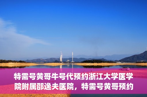 特需号黄哥牛号代预约浙江大学医学院附属邵逸夫医院，特需号黄哥预约服务助您轻松预约浙江大学医学院附属邵逸夫医院专家号