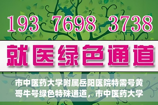 市中医药大学附属岳阳医院特需号黄哥牛号绿色特殊通道，市中医药大学附属岳阳医院黄哥牛号特需绿色就医通道揭秘