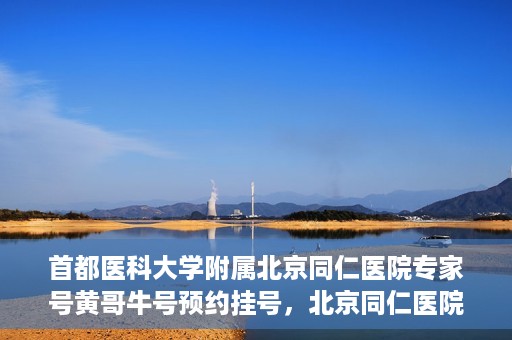 首都医科大学附属北京同仁医院专家号黄哥牛号预约挂号，北京同仁医院专家黄哥牛号预约挂号攻略，专业医疗，一键预约体验