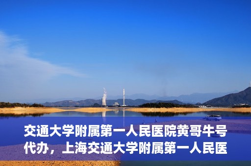 交通大学附属第一人民医院黄哥牛号代办，上海交通大学附属第一人民医院黄哥牛号代办攻略