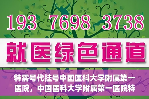 特需号代挂号中国医科大学附属第一医院，中国医科大学附属第一医院特需号代挂号服务详解