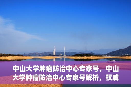 中山大学肿瘤防治中心专家号，中山大学肿瘤防治中心专家号解析，权威解读与前沿治疗技术探讨