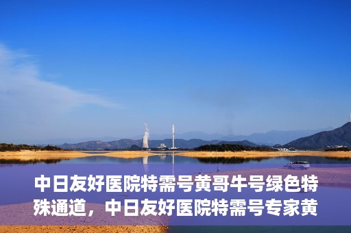中日友好医院特需号黄哥牛号绿色特殊通道，中日友好医院特需号专家黄哥揭秘绿色就医通道的秘密