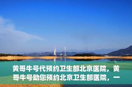 黄哥牛号代预约卫生部北京医院，黄哥牛号助您预约北京卫生部医院，一站式便捷服务开启