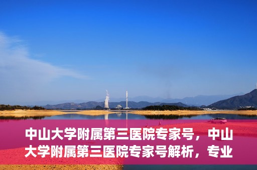 中山大学附属第三医院专家号，中山大学附属第三医院专家号解析，专业医疗团队为您的健康保驾护航