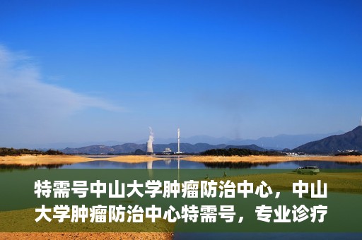 特需号中山大学肿瘤防治中心，中山大学肿瘤防治中心特需号，专业诊疗，守护健康之路