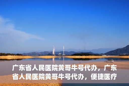 广东省人民医院黄哥牛号代办，广东省人民医院黄哥牛号代办，便捷医疗新途径