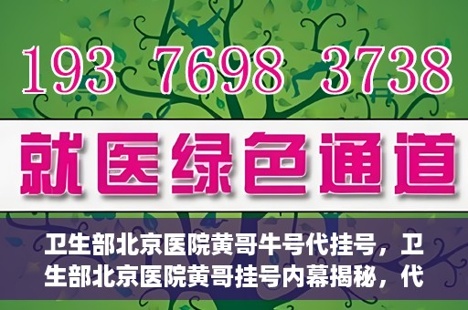 卫生部北京医院黄哥牛号代挂号，卫生部北京医院黄哥挂号内幕揭秘，代挂号背后的故事