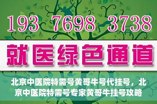 北京中医院特需号黄哥牛号代挂号，北京中医院特需号专家黄哥牛挂号攻略，深度解析代挂号服务