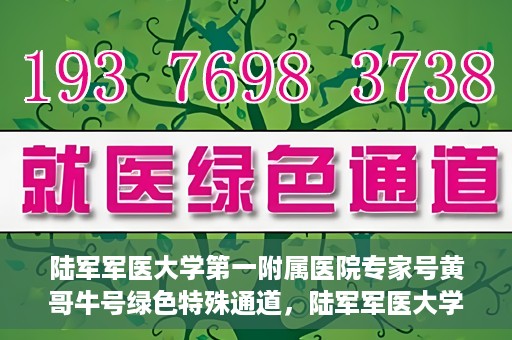 陆军军医大学第一附属医院专家号黄哥牛号绿色特殊通道，陆军军医大学第一附属医院专家号黄哥牛号，绿色特殊通道揭秘